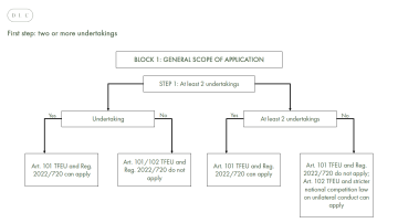 VBER Road map - Figure 1