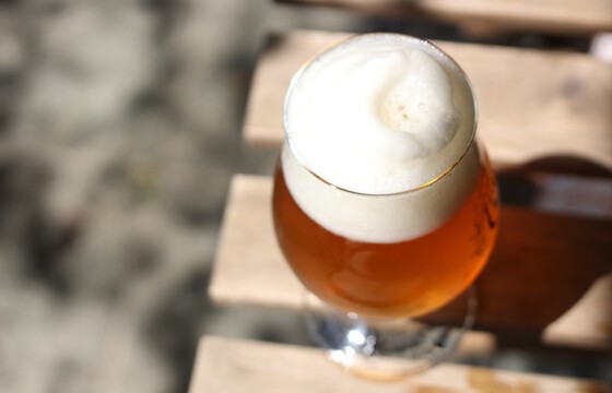 Hungarian Competition Authority fines major player in Hungarian beer market in exclusive supply probe