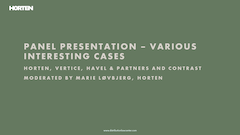 PowerPoint Distribution Law Center Meet-up 2025 - Panel presentation - Various interesting cases